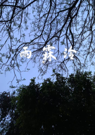 雨霖泠(sc,强制爱,前世今生)